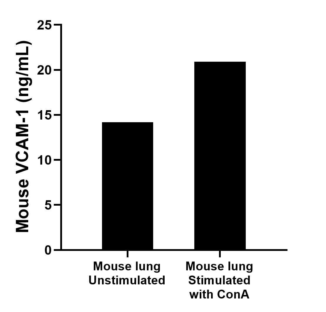 Mouse lung, cut into 1-2 mm pieces, was cultured for 3 days in 25-30 mL of RPMI supplemented with 10% fetal bovine serum and unstimulated or stimulated with 10 μg/mL ConA. The mean VCAM-1 concentration was determined to be 14.2 ng/mL in unstimulated mouse lung superantant, 20.9 ng/mL in ConA stimulated mouse lung superantant. 